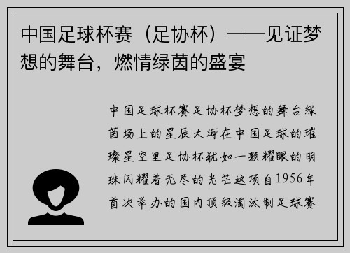 中国足球杯赛（足协杯）——见证梦想的舞台，燃情绿茵的盛宴